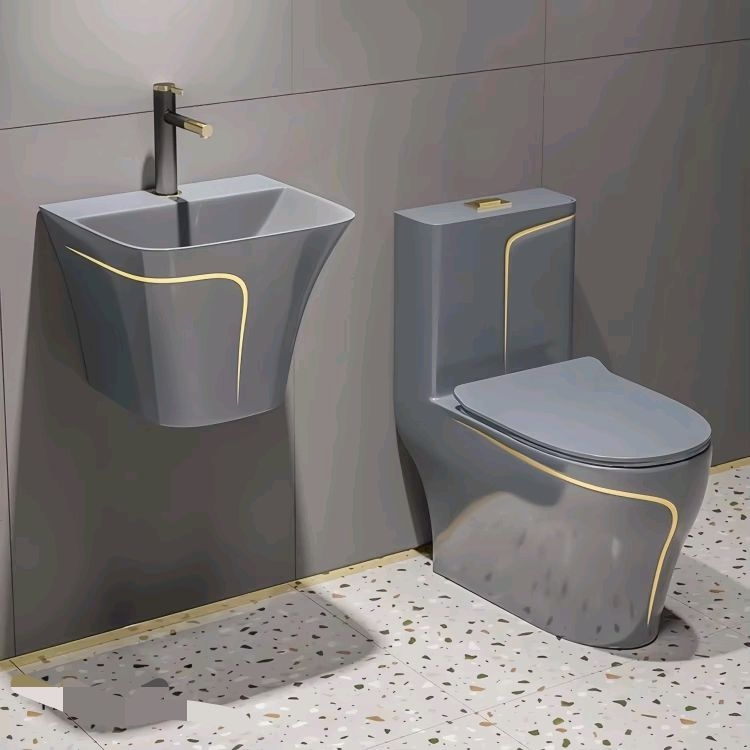Inodoro sifónico de cerámica d - Home One Bathroom Accessories reseña y precio