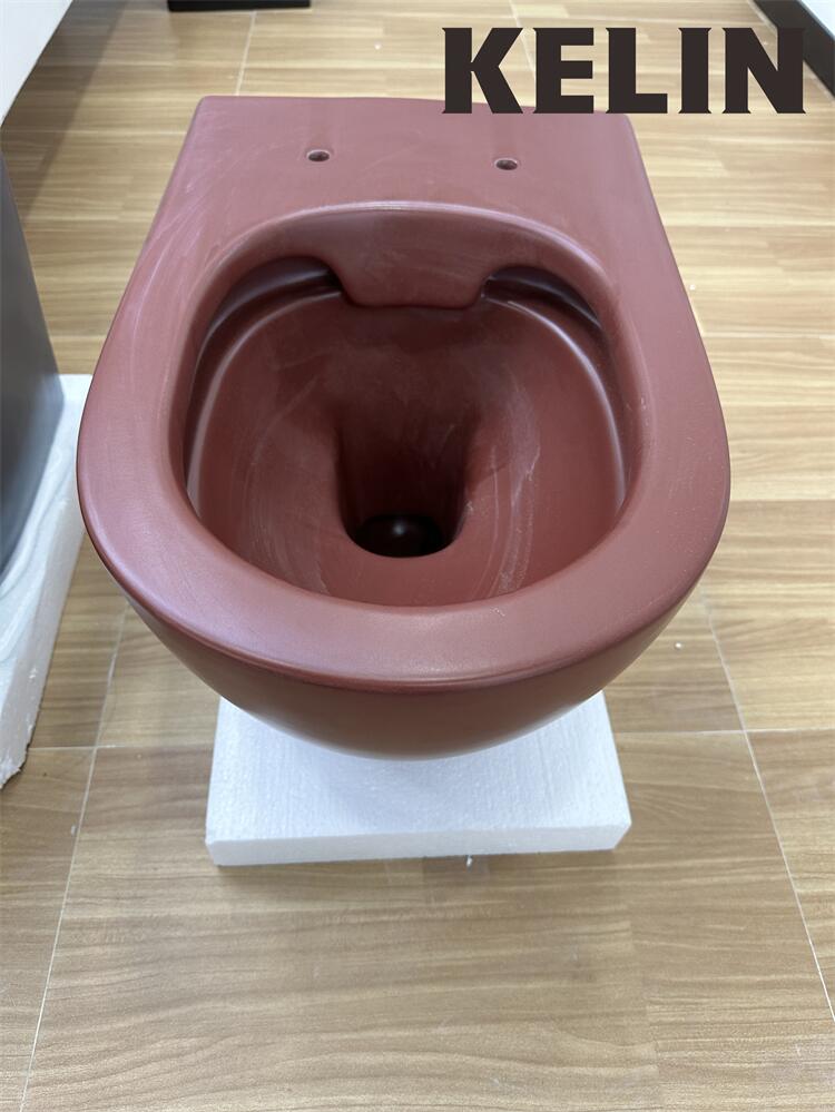 Inodoro suspendido de cerámica - Home Bathroom reseña y precio