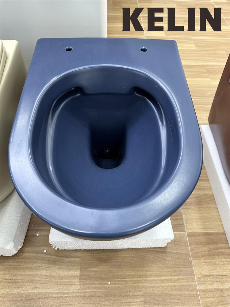 Inodoro suspendido de cerámica - Home Bathroom reseña y precio