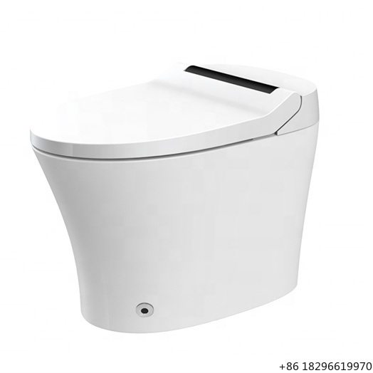 Asiento de inodoro inteligente - Home Bathroom Ware reseña y precio