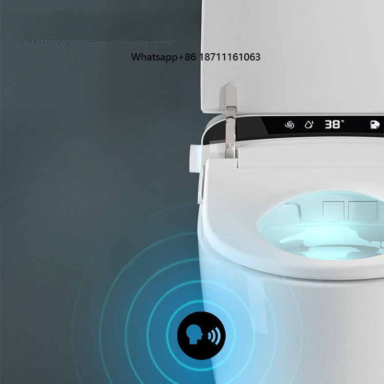 Inodoro Inteligente de Alta Ca - Home Bathroom Ware reseña y precio