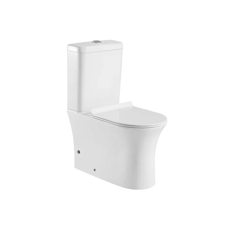 Inodoro de Cerámica de Dos Pie - Home Bathroom Ware reseña y precio